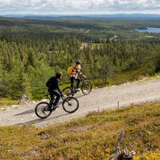 Weekly program summer