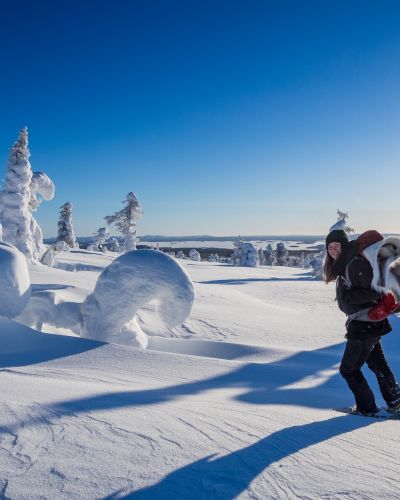 Snowshoeing in Riisitunturi National park