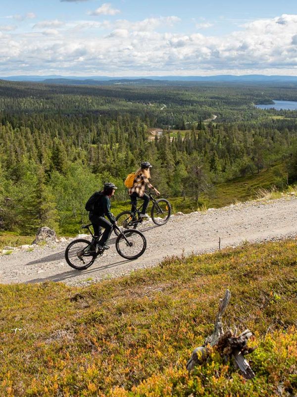 Opastettu Fatbike safari