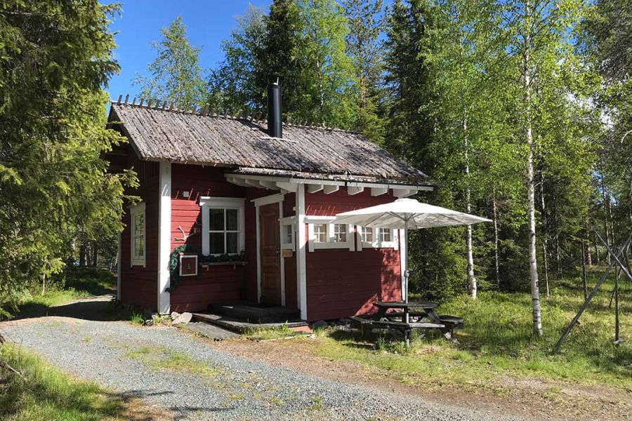 Tonttula kesällä